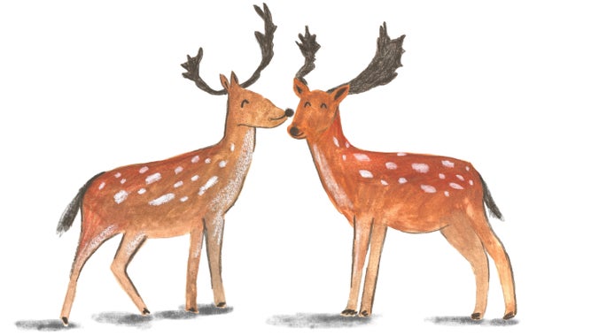 An illustration of two deer facing each other with antlers